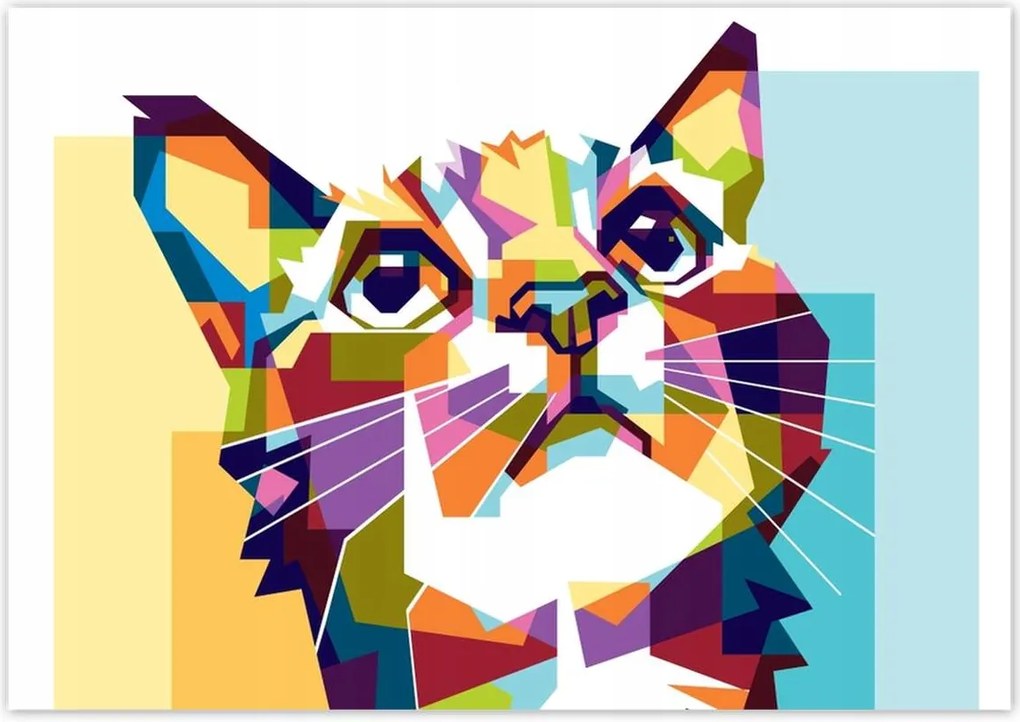 Poszterek 100x70 Absztrakt macska