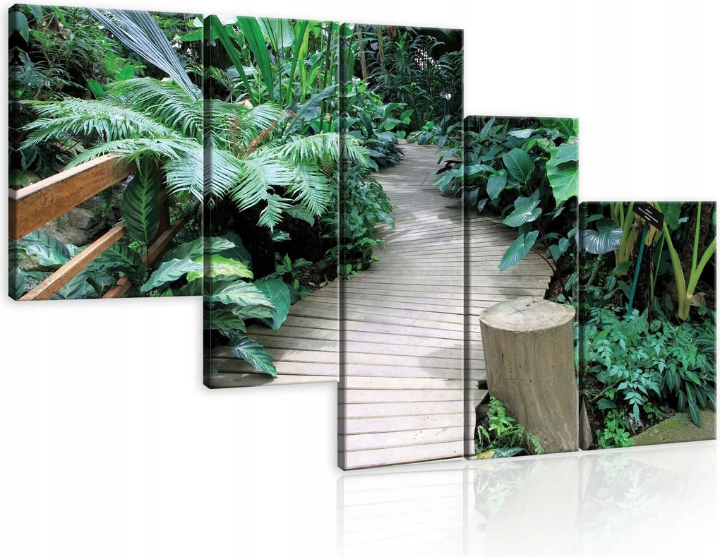 Vászonkép 170x100 Trópusok dzsungel egzotikus zöld növényzet természet nyugalom