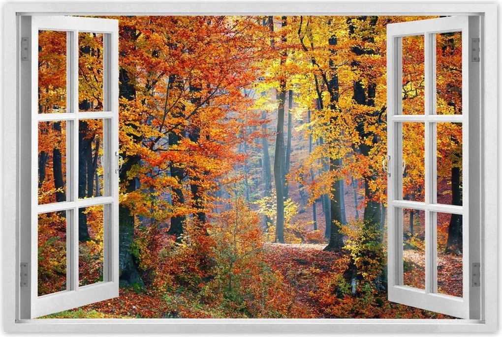 Poszterek 60x40 Arany ősz