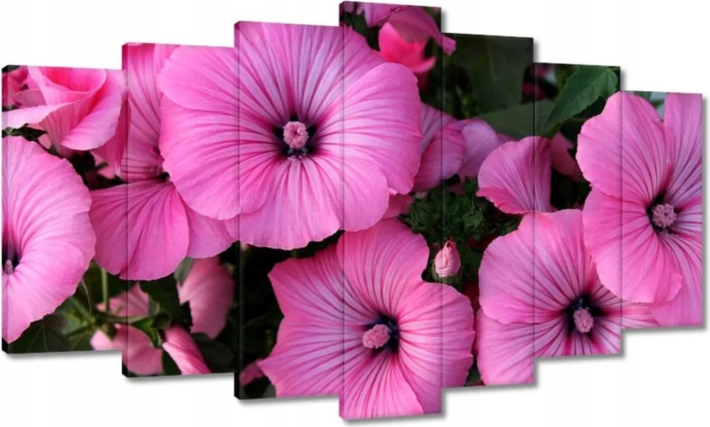 Vászonkép 140x80 Lila virágok