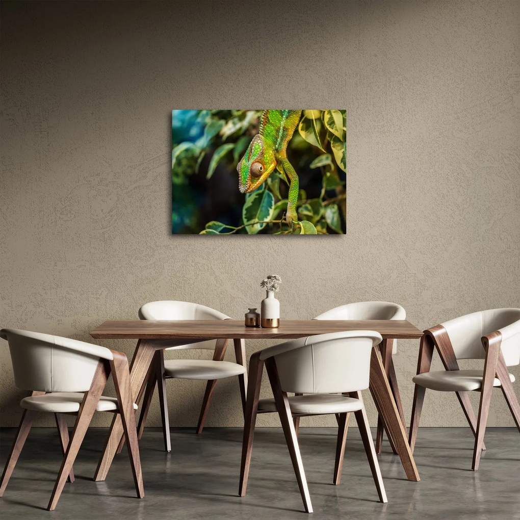 Kaméleon képe (70x50 cm)
