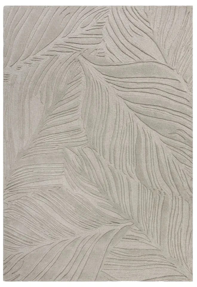 Világosszürke gyapjú szőnyeg 200x290 cm Lino Leaf – Flair Rugs