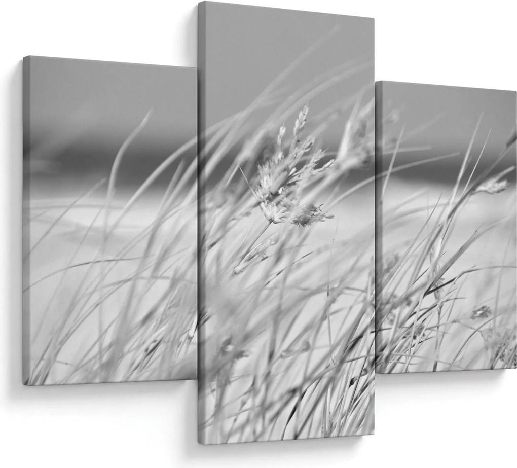 Kép - Strandfű (90x60 cm)