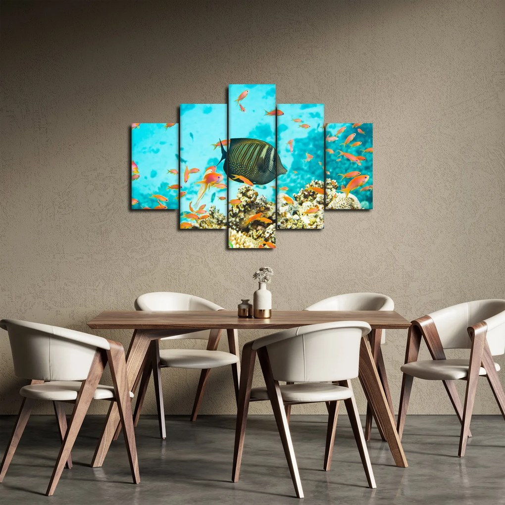 A víz alatti világ képe (150x105 cm)
