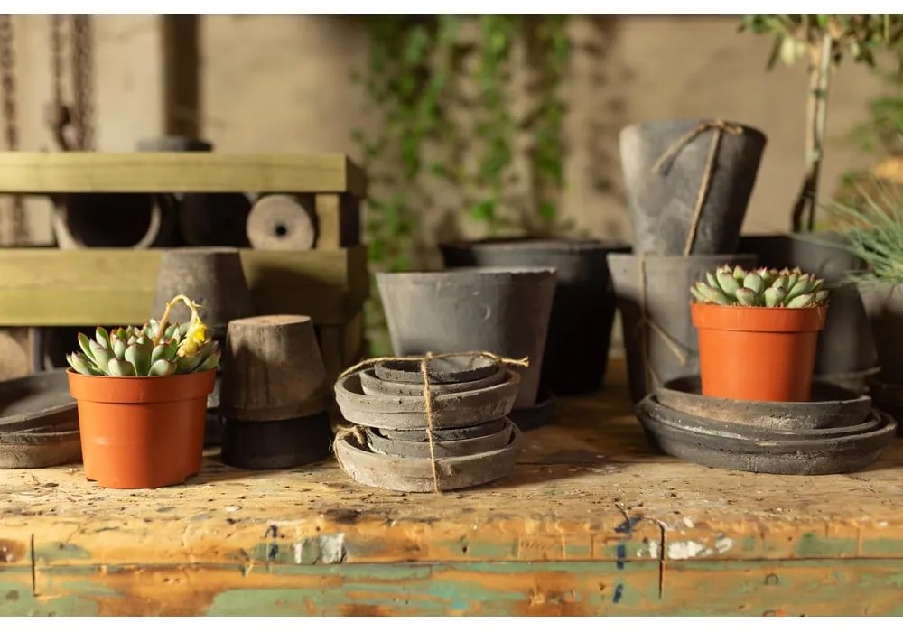 3 db terrakotta virágcserép alátét - Esschert Design