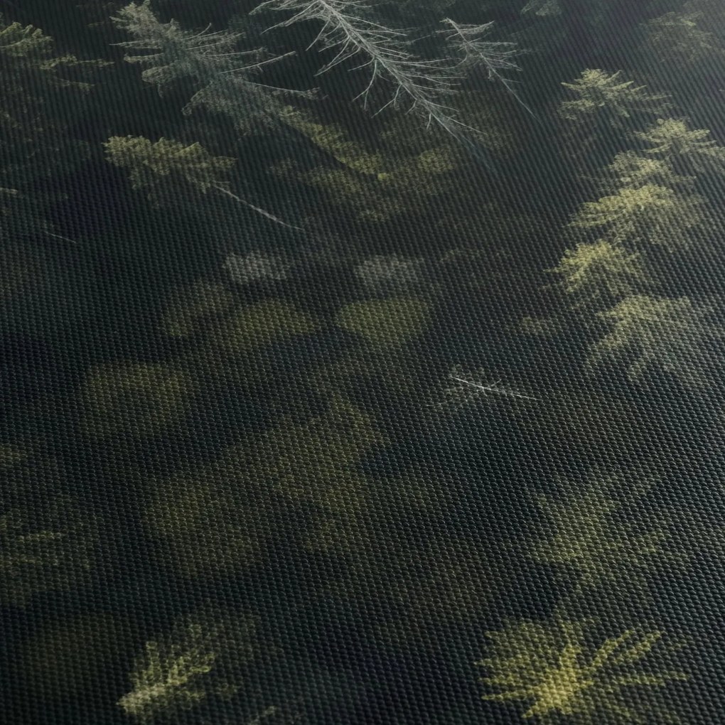 Kép - Forest (órával) (90x30 cm)