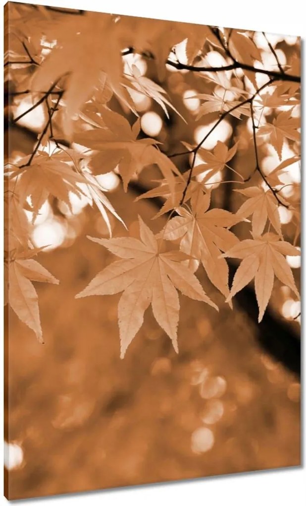 Vászonkép 70x100 Szépia Őszi levelek