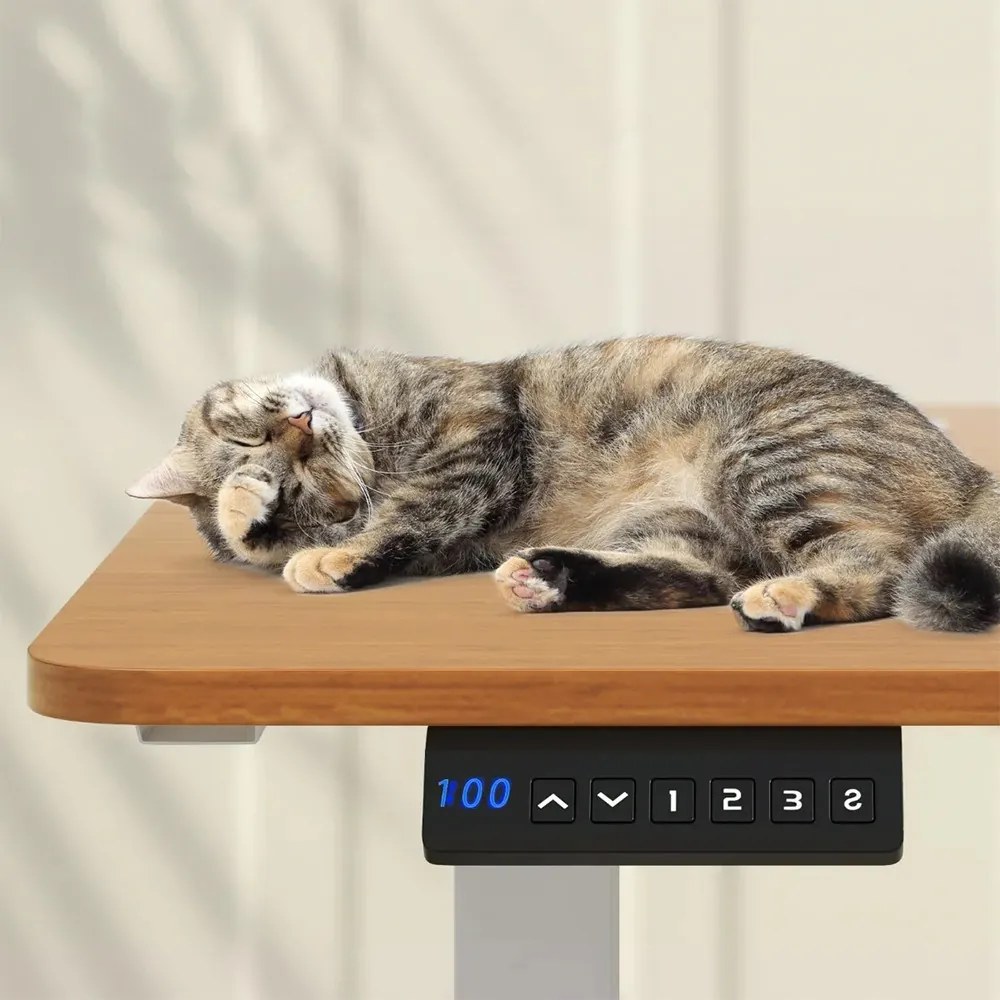 Elektromos, állítható magasságú íróasztal, 140x60 cm