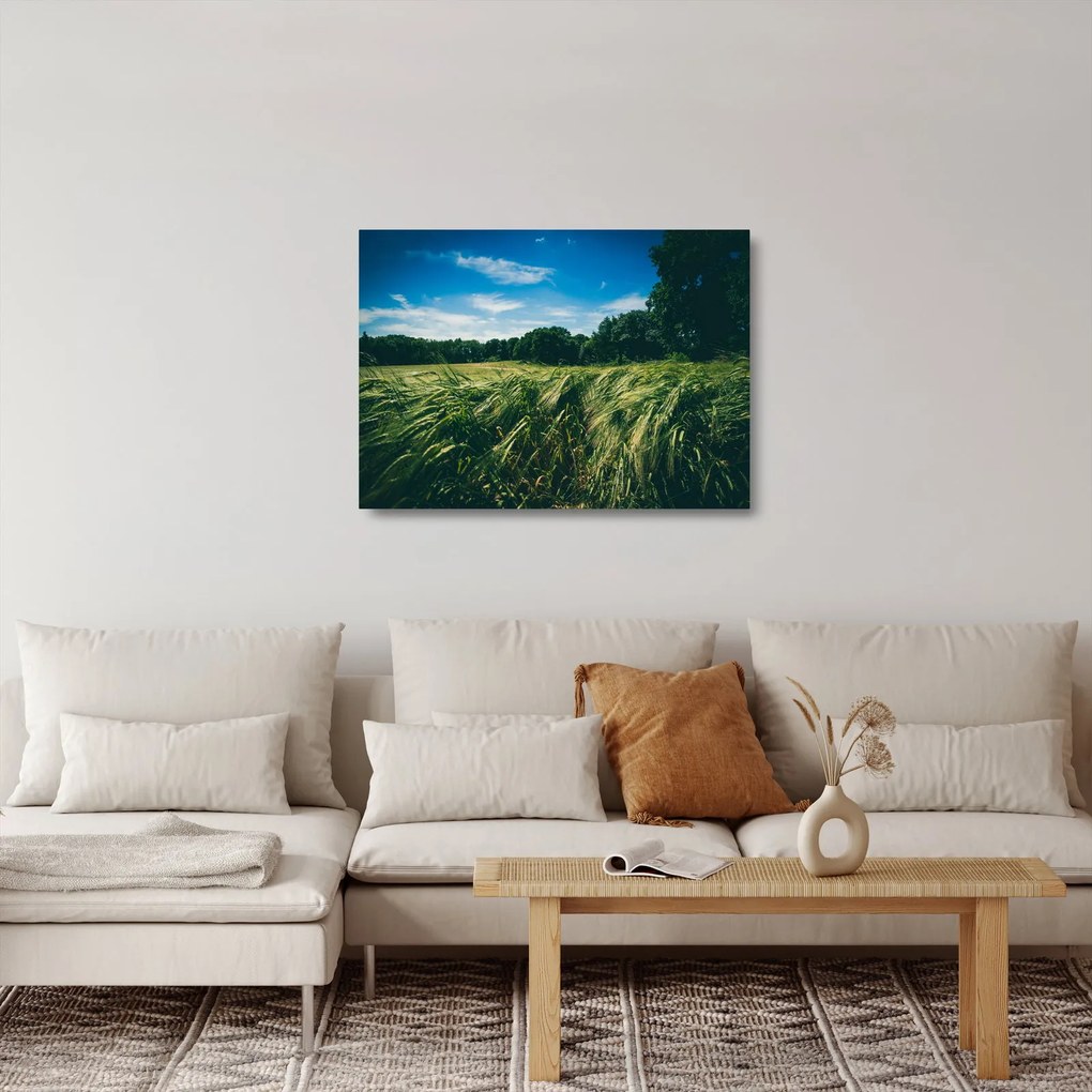 Rét és az erdő képe (üvegen) (70x50 cm)