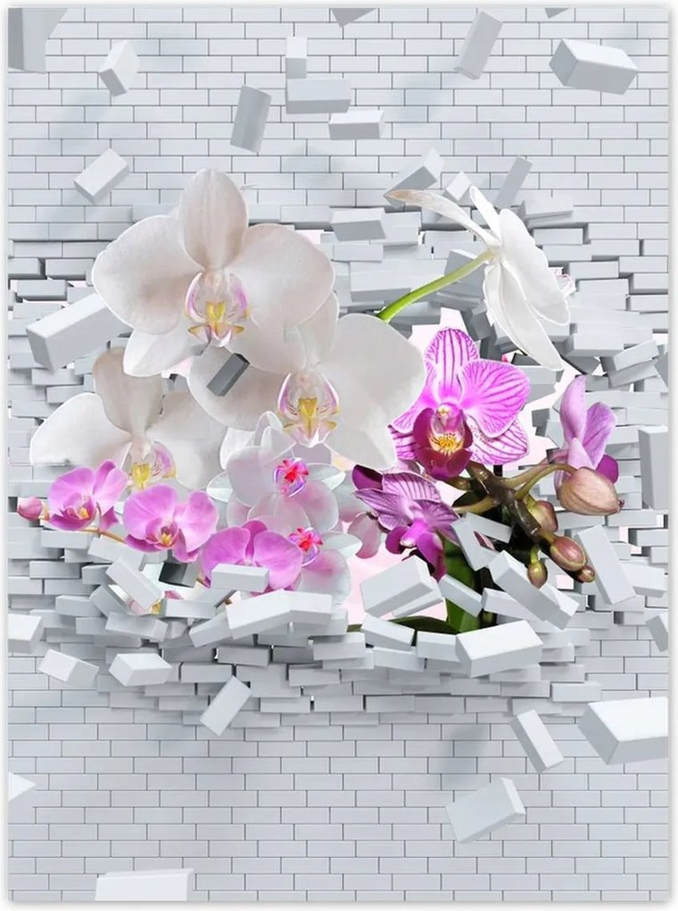 Poszterek 100x135 Orchidea a falon Virágok