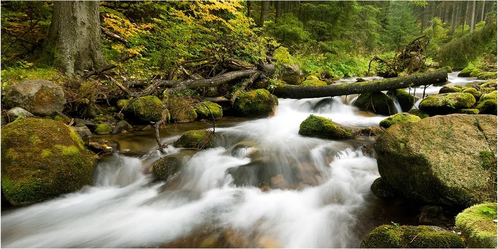 Fotó vászonkép edzett üveg Olczyski patak 140x70