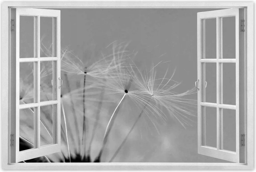 Poszterek 60x40 Pitypang Virág Virágok