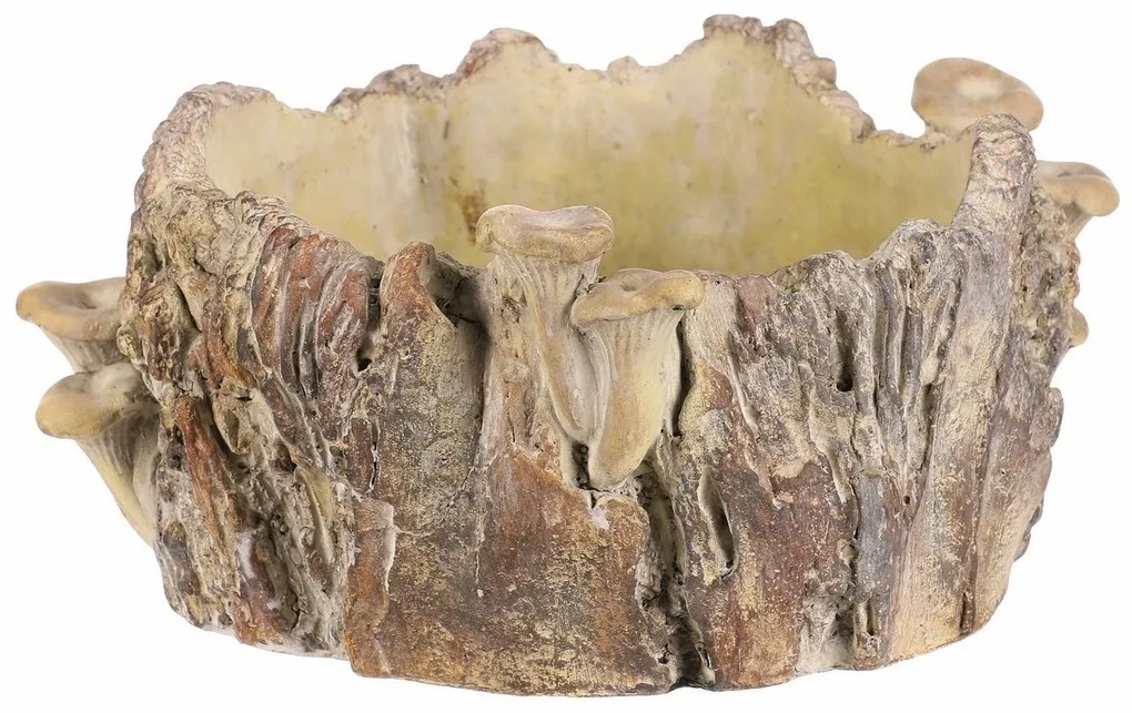Beton burkolat - tusk with mushrooms, 26 x 24 x 14cm, 26 cm
