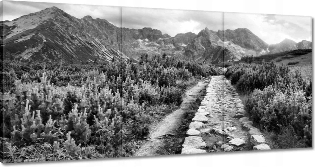 Képek 120x60 Tátra Lengyel hegyek Kilátás