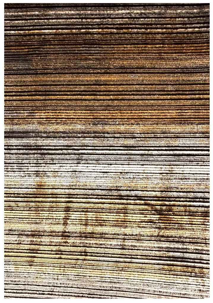 Toscana 392 Black (Fekete) 120x170 cm