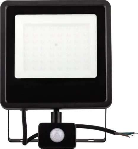 LED Kültéri reflektor érzékelővel LED/50W/230V 4000K IP65 fekete