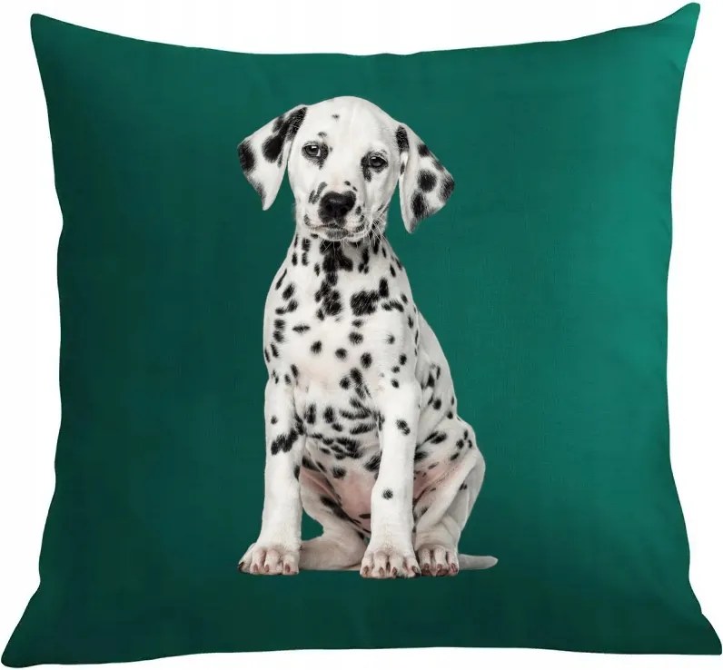 Párna párnahuzat Dalmata Cuki Kutya