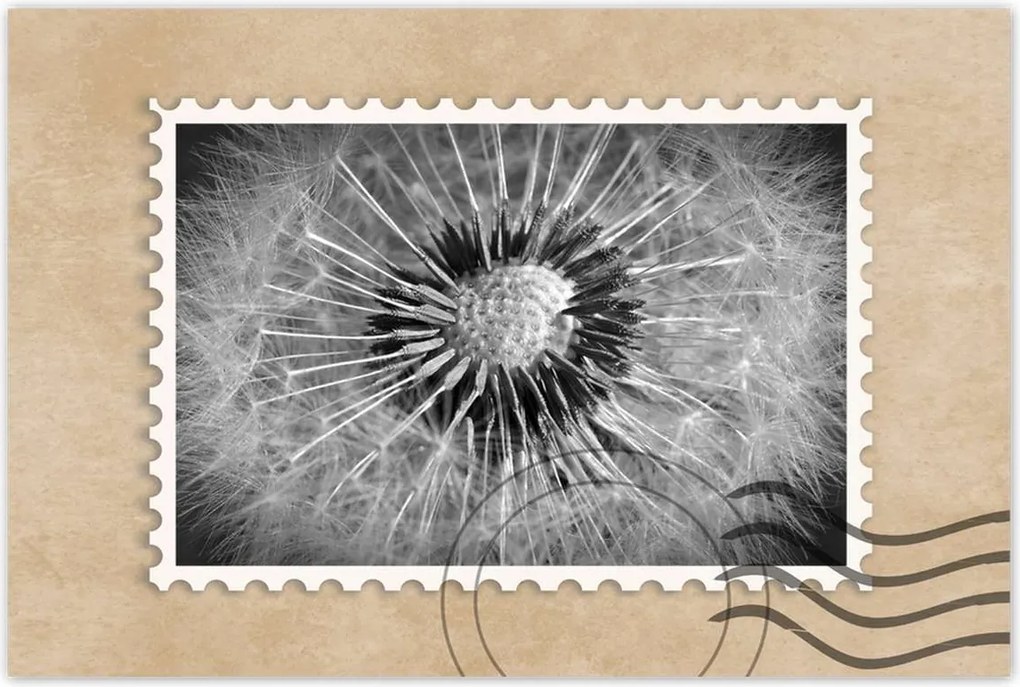 Poszterek 120x80 Pitypang Virág Virágok