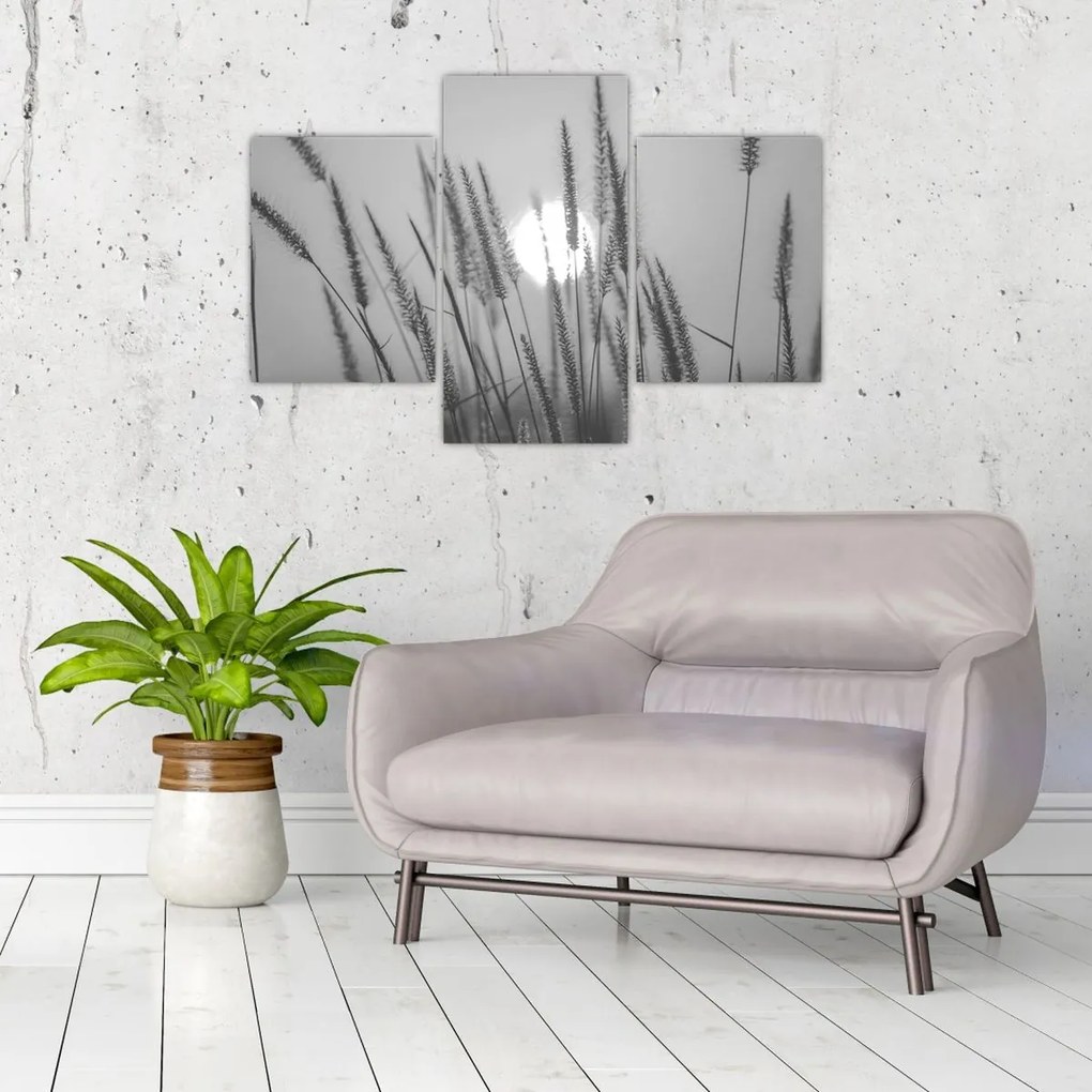 Kép - Mező naplementében (90x60 cm)