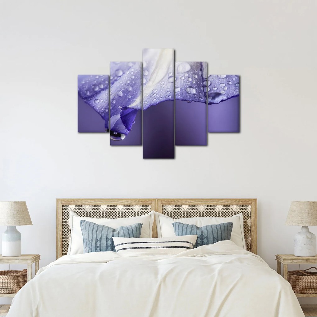 Kép - Szirom cseppekkel (150x105 cm)