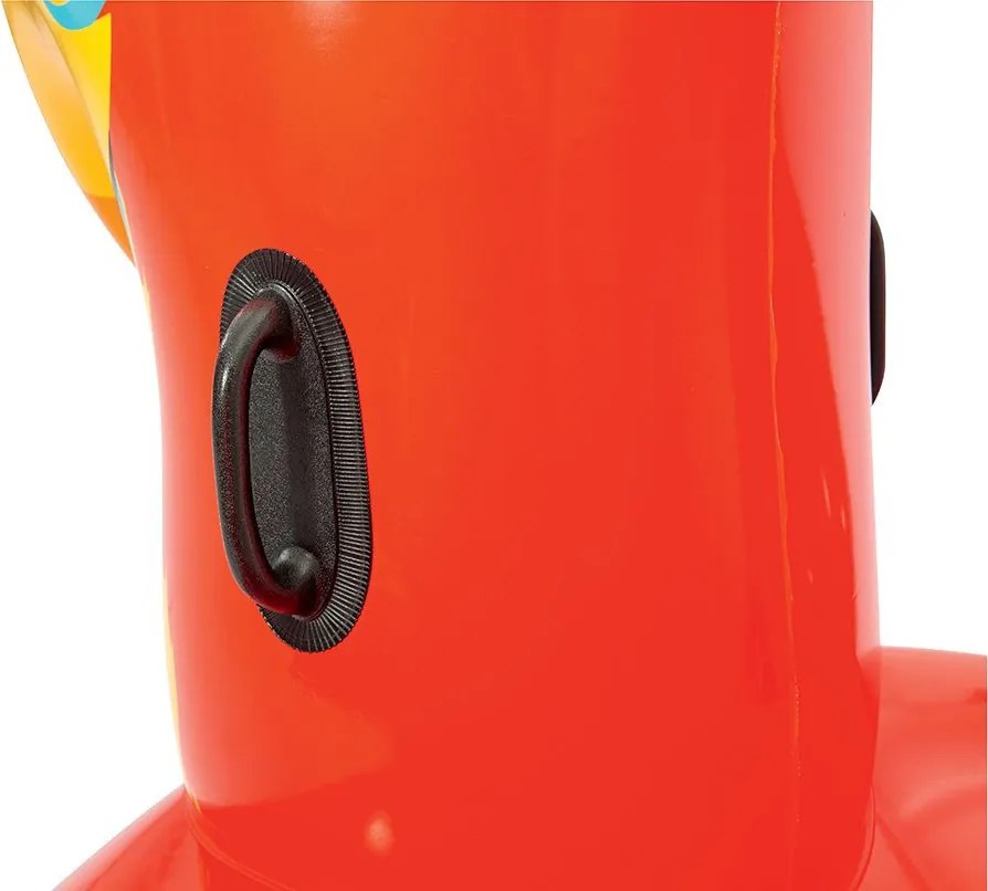 Papagáj rider 203 x 132 cm