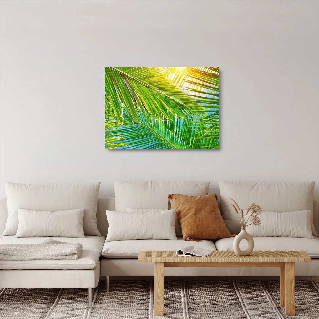 Üveg kép - Pálmalevelek (70x50 cm)