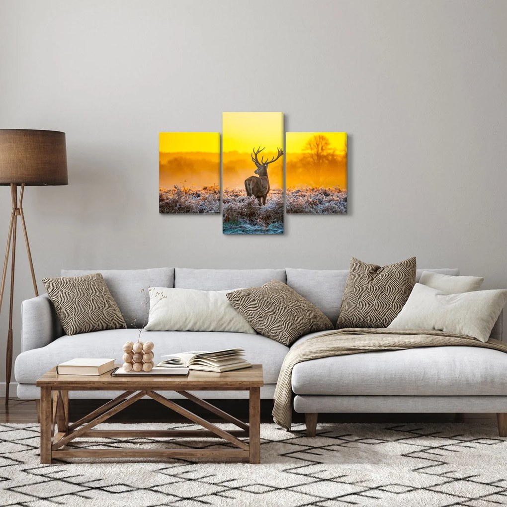 Kép - Szarvas napfelkeltekor (90x60 cm)