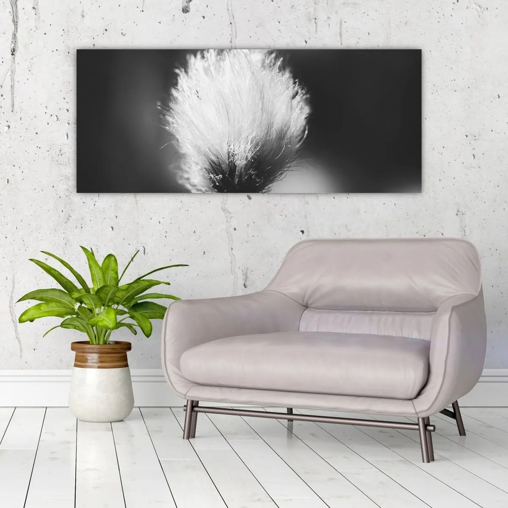 Kép - Fekete-fehér pamutfű (120x50 cm)