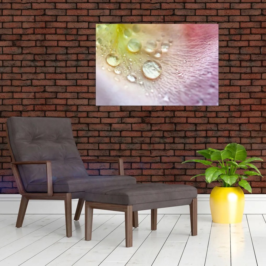 Kép - Harmatcseppek (90x60 cm)