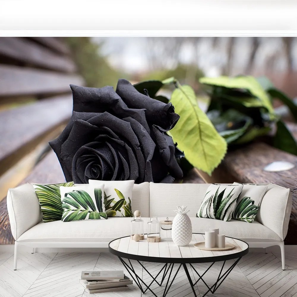 Fotótapéta Fekete rózsa 104x70 cm