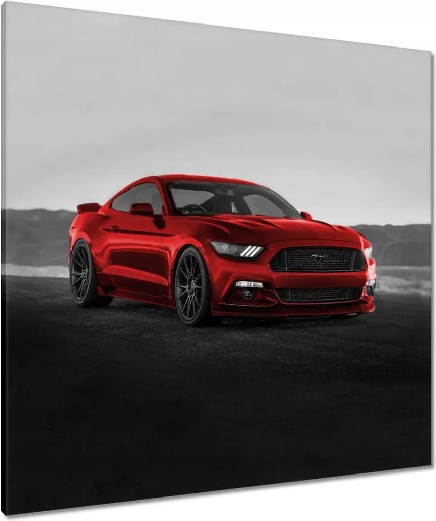 Vászonkép 80x80 Véres fenevad Ford Auto