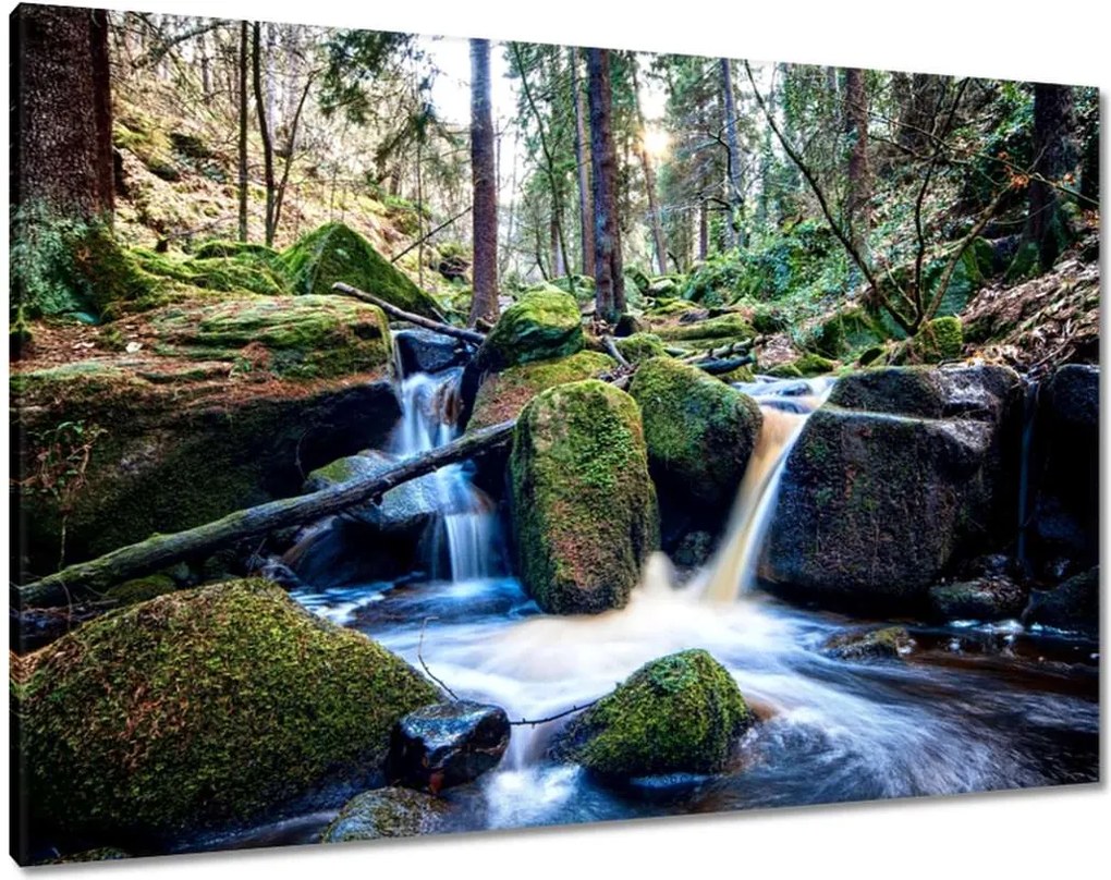 Festmények 100x70 Hegyi patak Tájkép