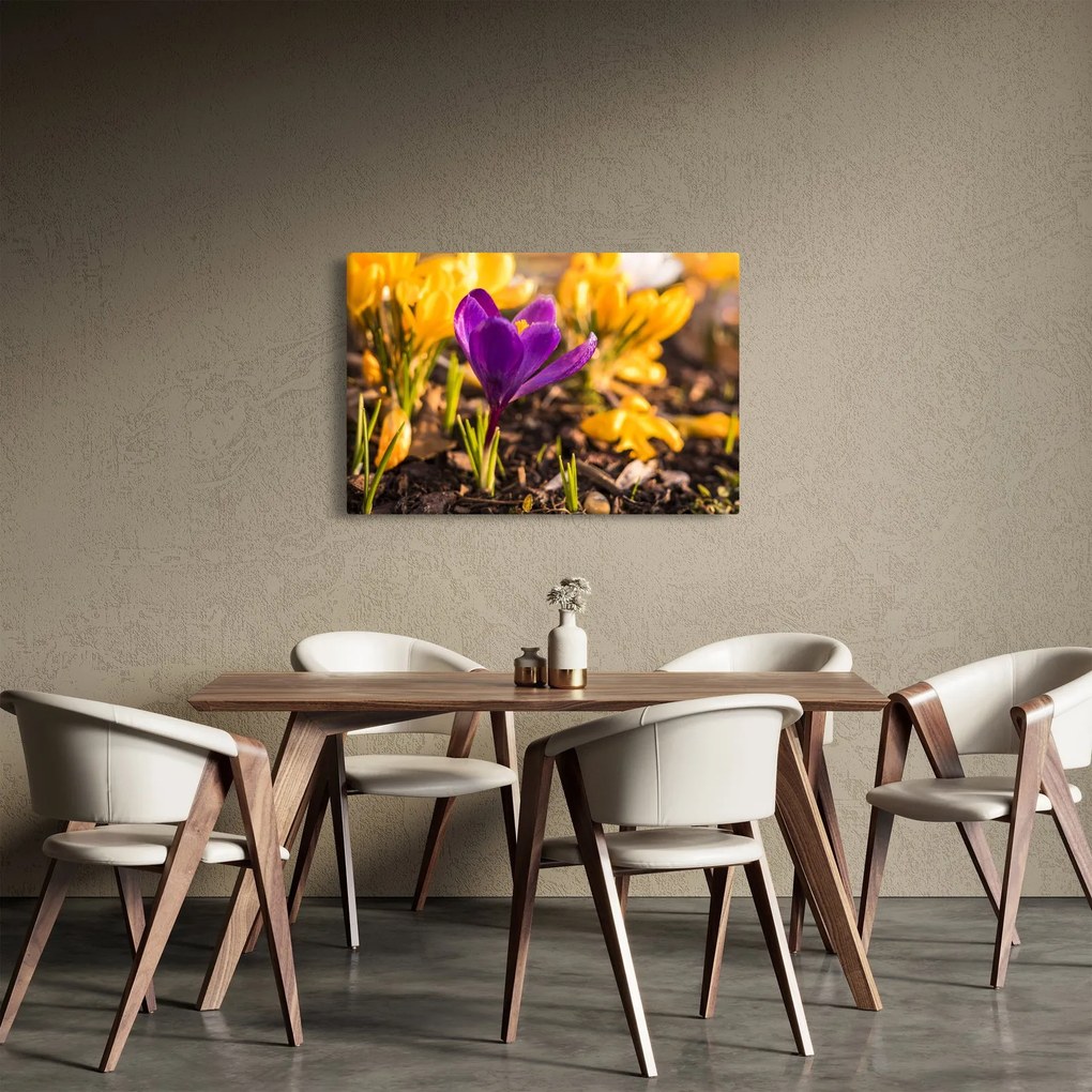 Lila virágok képe (90x60 cm)