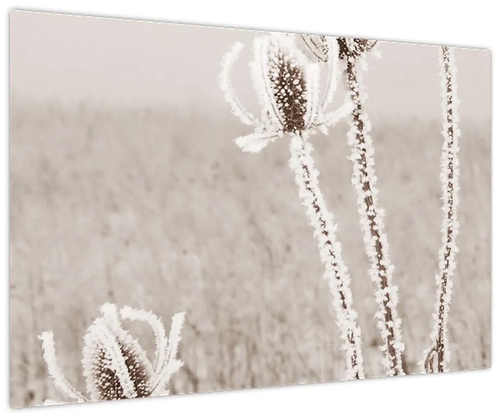 Kép - Gyűszű télen (90x60 cm)