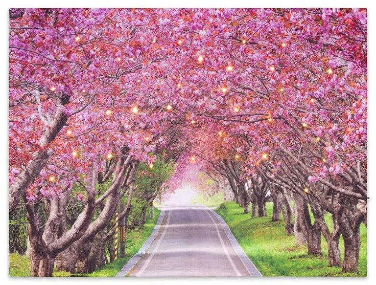 Falikép NEXOS Alley of trees 30 x 40 cm - 40x LED