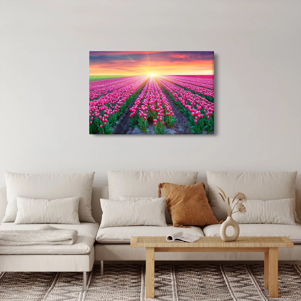 Tulipán mező és a nap képe (90x60 cm)
