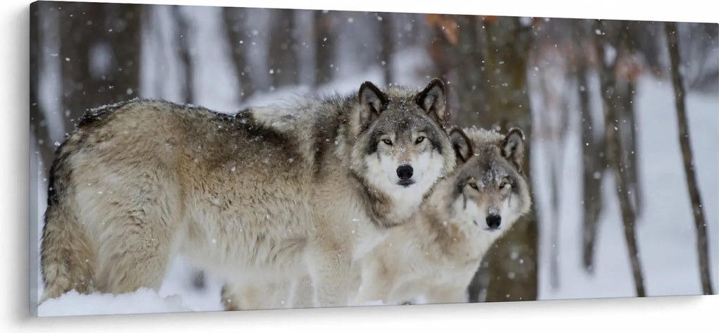 Kép - Farkasok télen (120x50 cm)