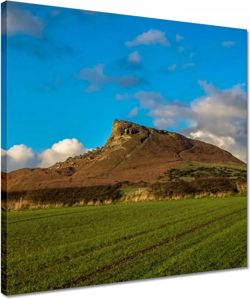 Vászonkép 40x40 Kilátás a rétről Hegy