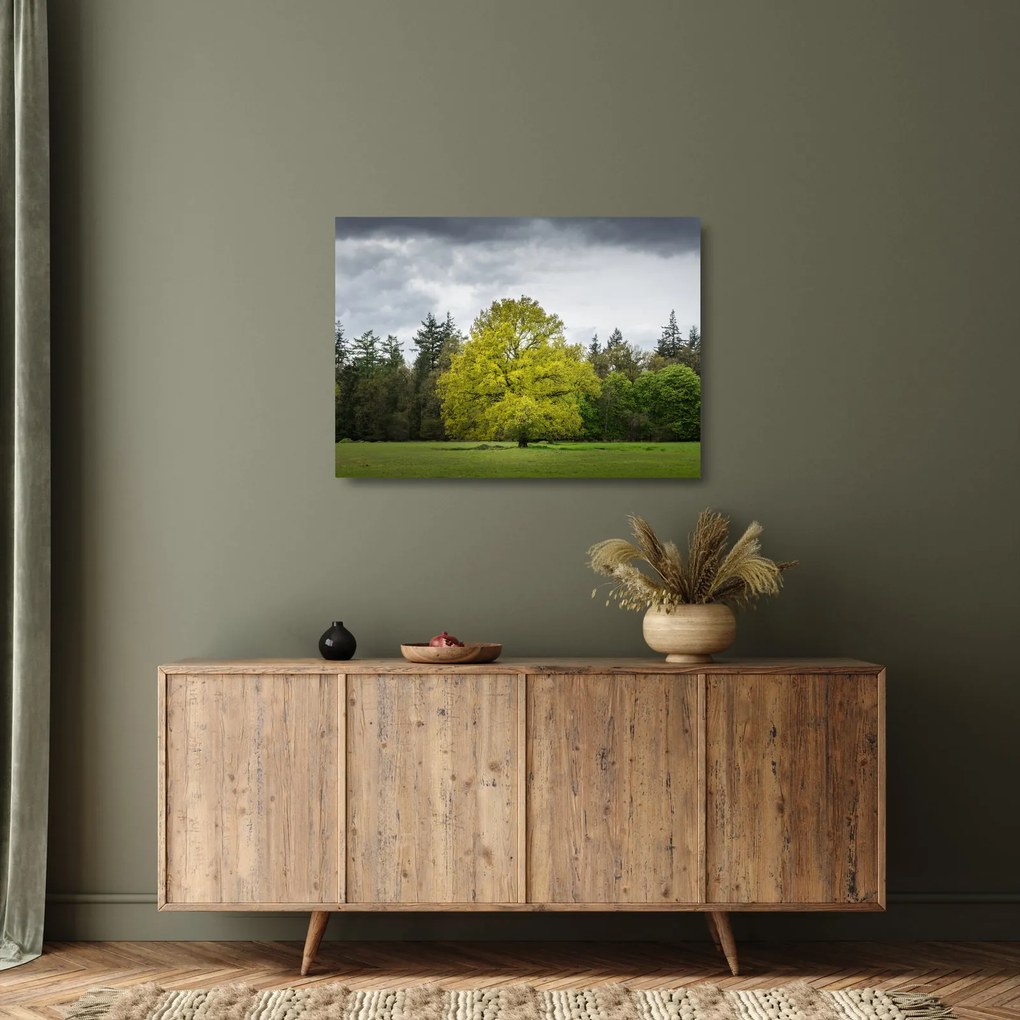 Egy zöld fa képe a mező közepén (üvegen) (70x50 cm)