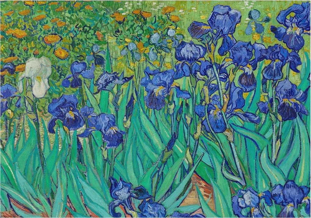 Fotótapéta Flizelin Dekoratív az irodába Kerti virágok 208x146 Ragasztó