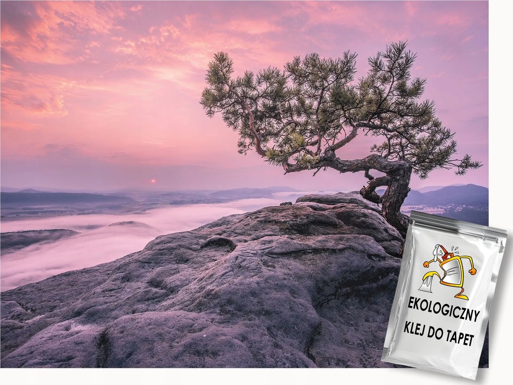 Fotótapéta Flizelina Tájkép Természet Fa Tenger Szikla 200x140 ragasztó