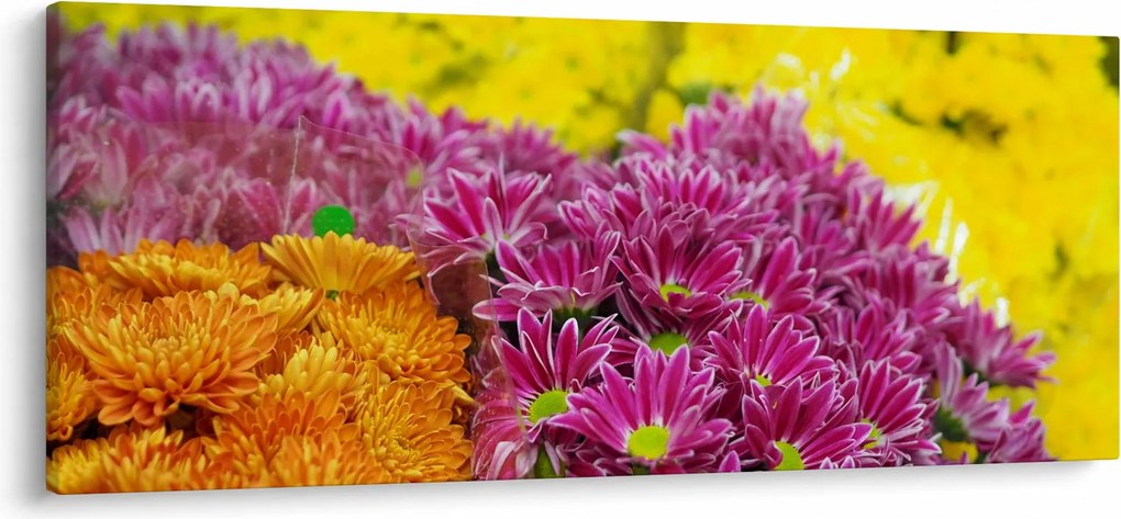 Rózsaszín virág képe (120x50 cm)