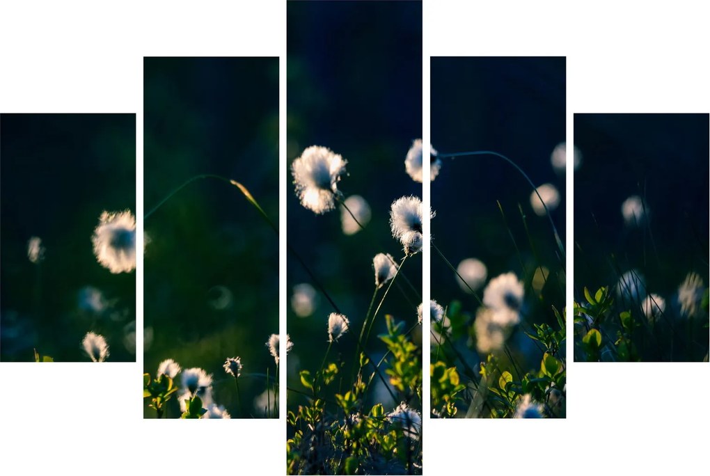 Kép - Fű (150x105 cm)