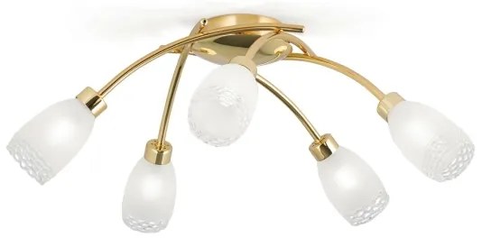 Orion - Felületre szerelhető csillár CARLA 5xG9/28W/230V arany