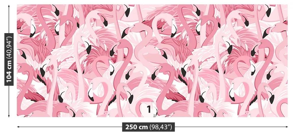 Fotótapéta rózsaszín flamingók 104x70 cm