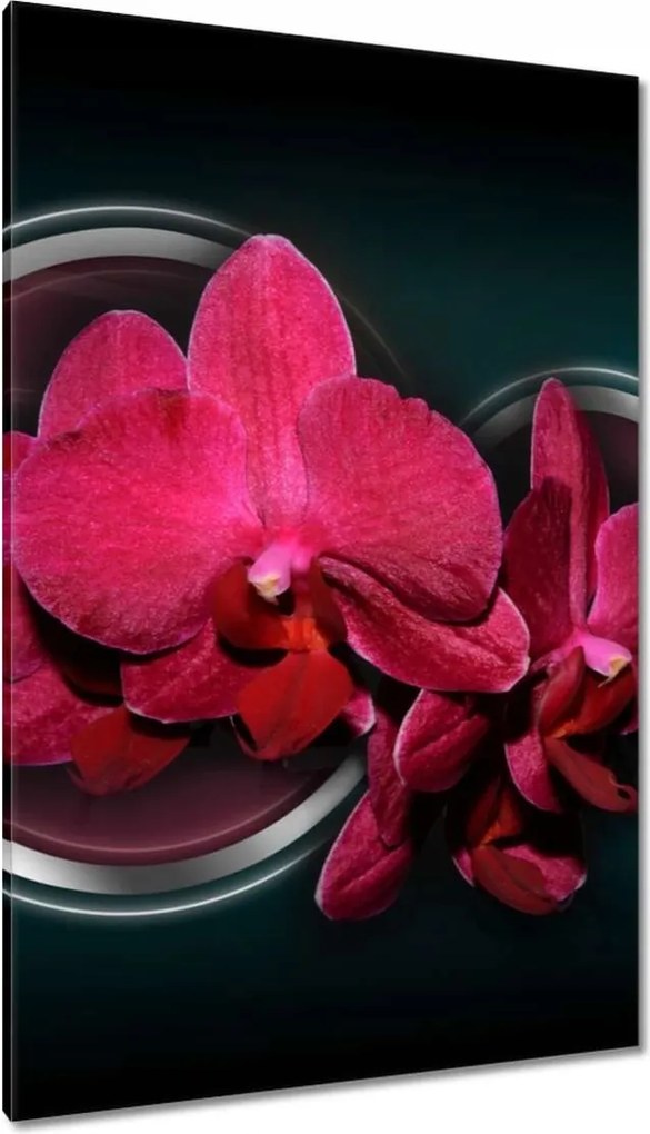 Vászonkép 80x120 Lila orchidea