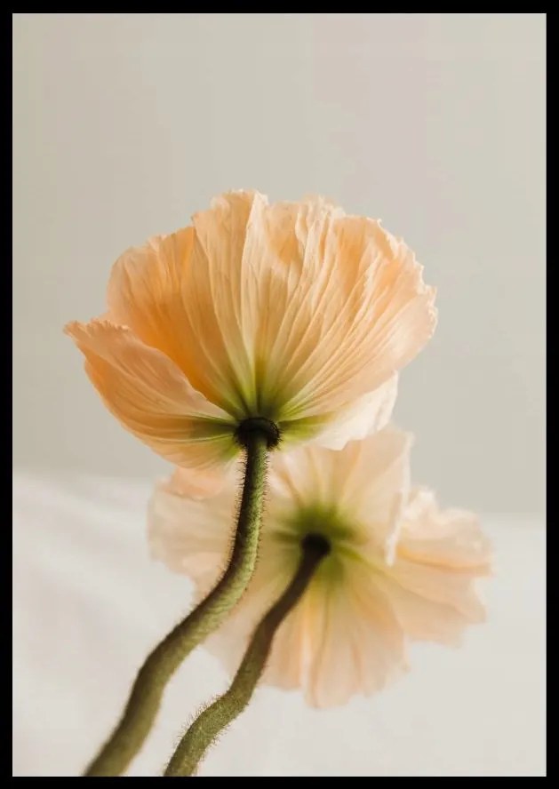 Poszter A4 (21x30) Nyári Válogatás 100 Minta eviero Nyaralás tenger Lengyel Világ