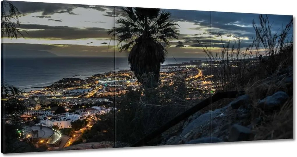 Festmények 120x60 Tájkép pálmafákkal