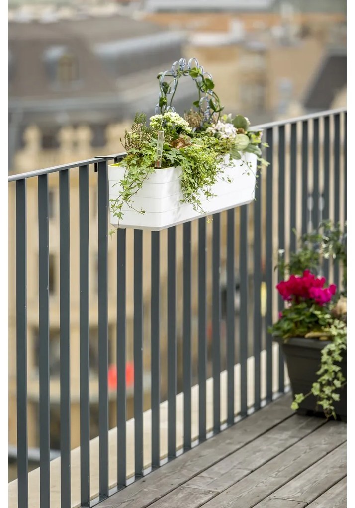 Plastia Berberis 60 önöntöző láda, fehér + zöld, 60 cm