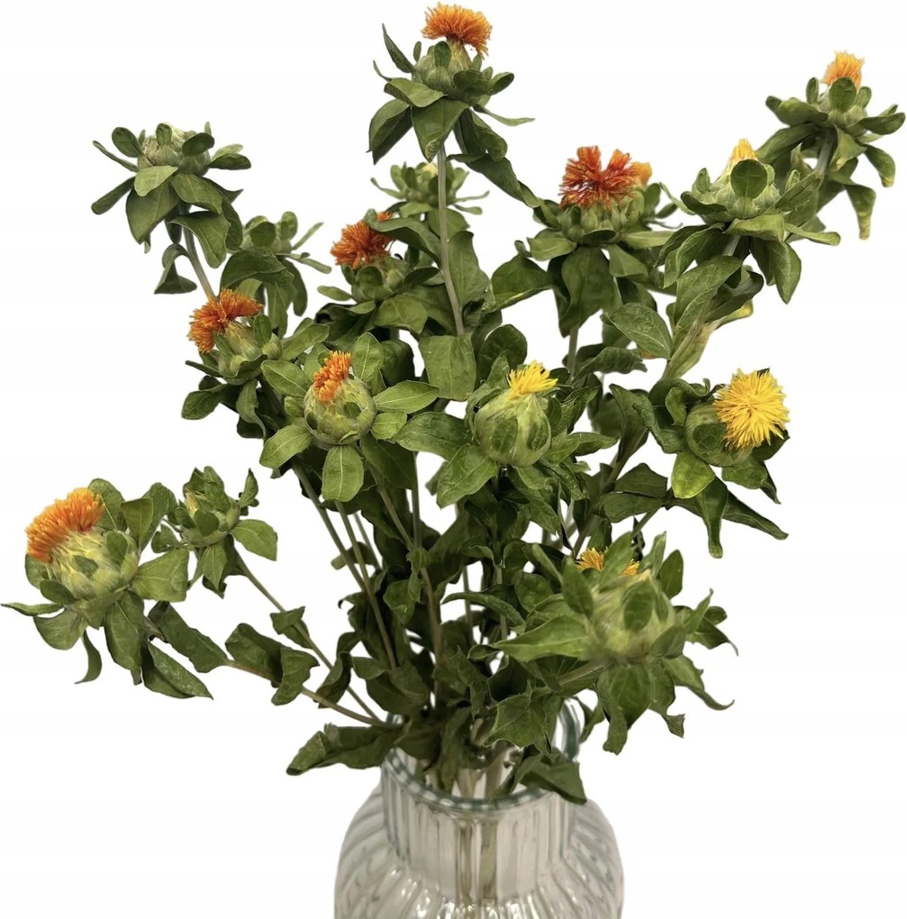 Szárított virágok, koszorúk, természetes dekorációk